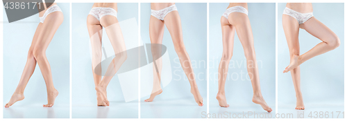 Image of The collage from images of perfect female legs in underwear