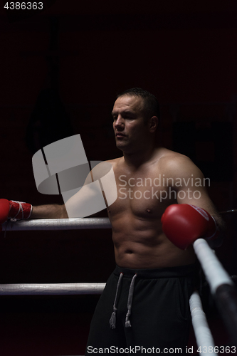 Image of kick boxer resting on the ropes in the corner