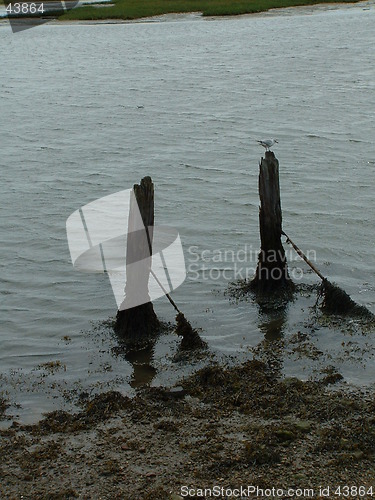 Image of Decay