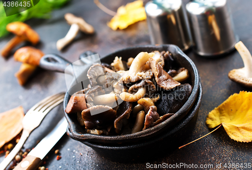 Image of fried mushroom