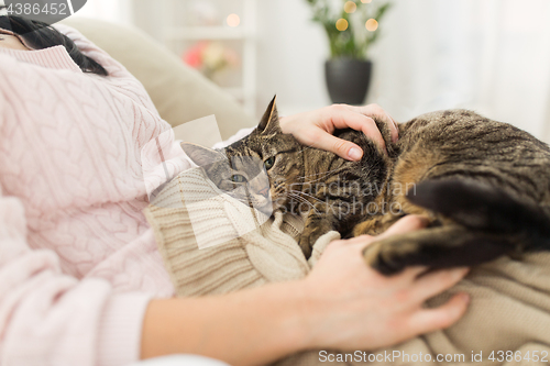 Image of close up of owner with tabby cat in bed at home