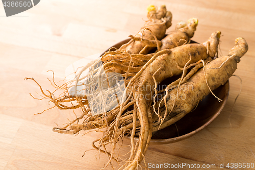 Image of Ginseng