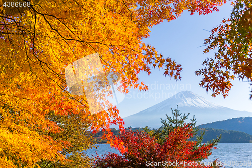 Image of Mt.Fuji in autumn