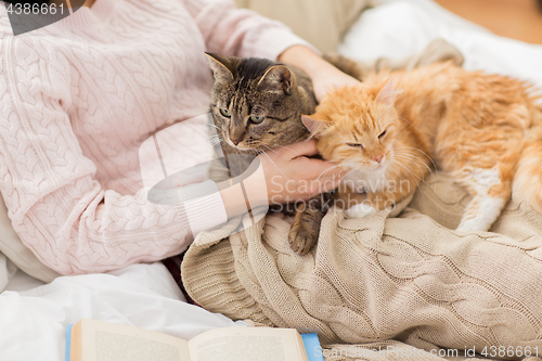 Image of close up of owner with red and tabby cat in bed