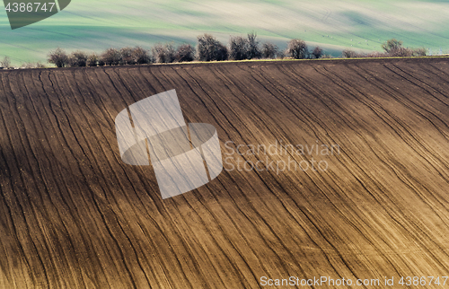 Image of Spring landscape with brown and green field and trees