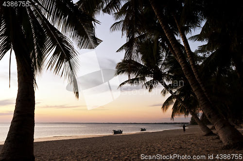 Image of The peaceful evening on a beach. Madagascar