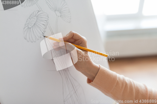 Image of artist with pencil drawing picture at art studio