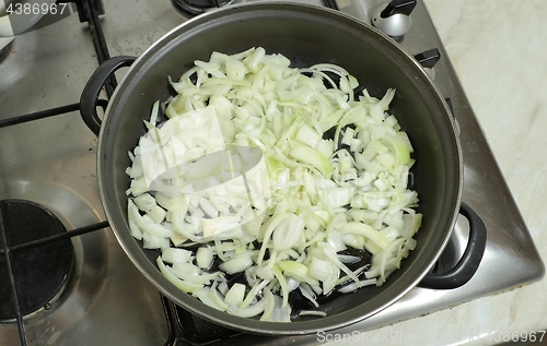 Image of Cooking with onions