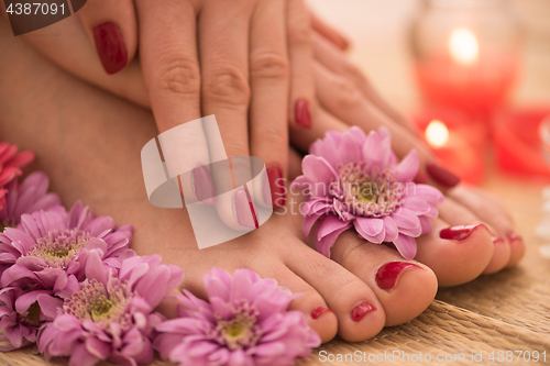 Image of female feet and hands at spa salon