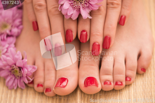 Image of female feet and hands at spa salon