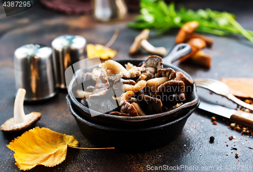 Image of fried mushroom