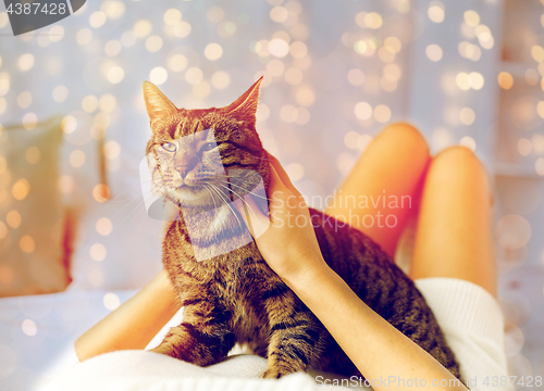 Image of young woman with cat lying in bed at home