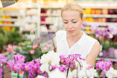 Image of Beautiful lady smelling colorful blooming orchids.