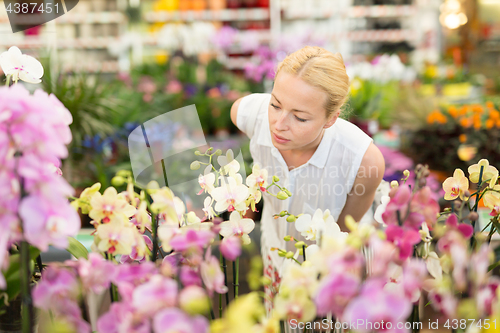 Image of Beautiful lady smelling colorful blooming orchids.