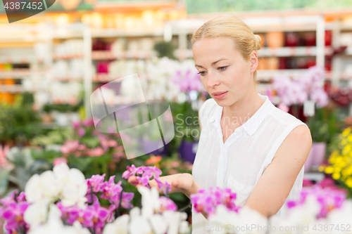 Image of Beautiful lady smelling colorful blooming orchids.