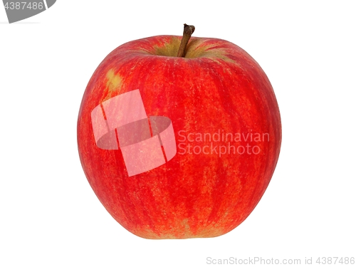 Image of Red apple on white