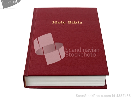 Image of Holy Bible on white