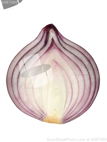 Image of Red onion on white