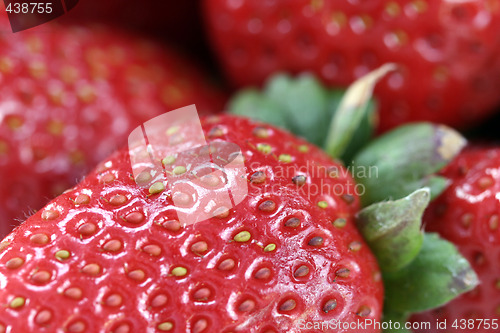 Image of Strawberry