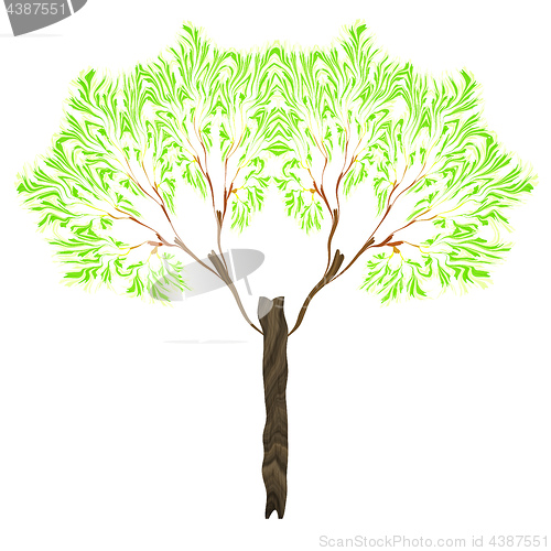 Image of a fractal tree isolated on white