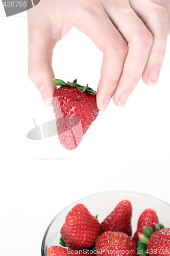 Image of Strawberry