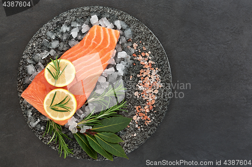 Image of Fresh Salmon on Crushed Ice