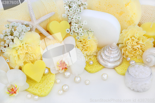 Image of Bathroom Beauty and Cleansing Accessories