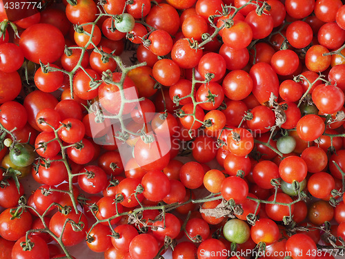 Image of Cherry tomato vegetables