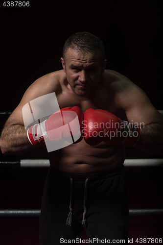 Image of professional kickboxer in the training ring