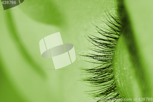 Image of Closed eye