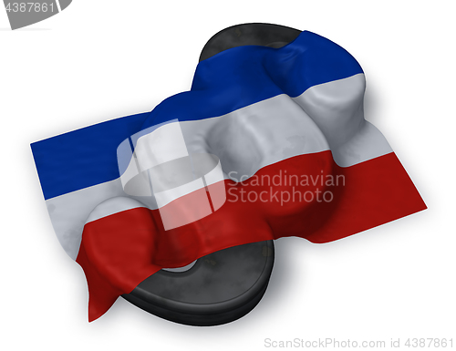 Image of paragraph symbol and flag of schleswig-holstein - 3d rendering