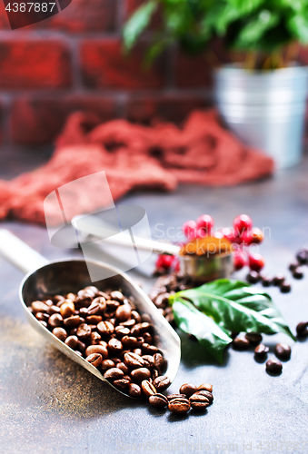 Image of coffee beans