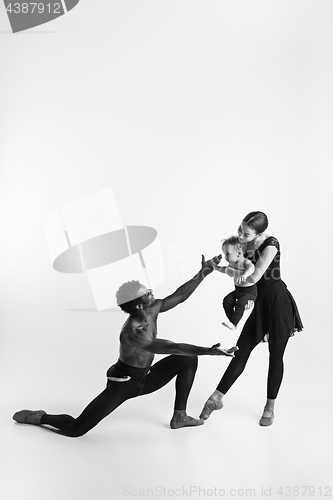 Image of A happy family of ballet dancers on white studio background