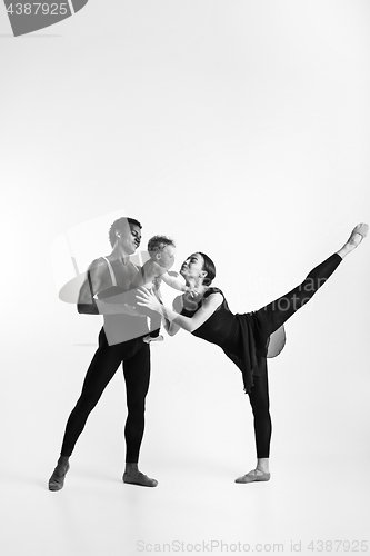 Image of A happy family of ballet dancers on white studio background