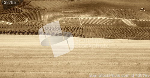 Image of Country landscape