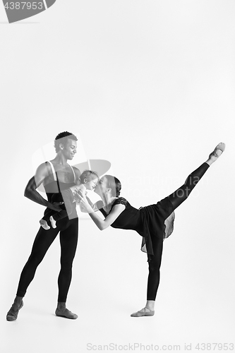 Image of A happy family of ballet dancers on white studio background