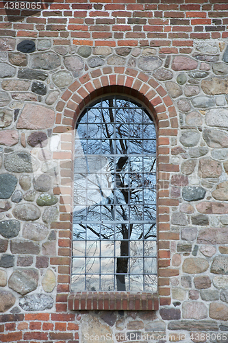 Image of Tree reflection in a window. Uggeløse church in 2017