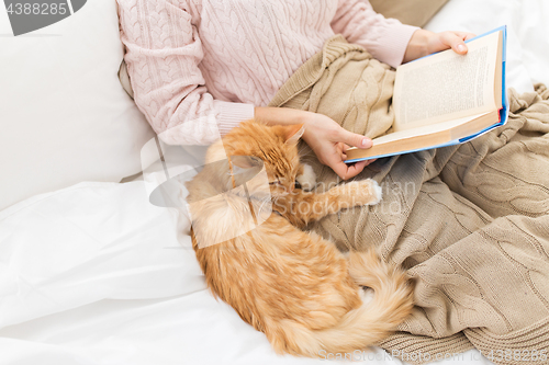 Image of red cat and female owner reading book at home