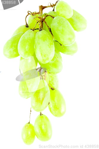 Image of Bunch of Grapes