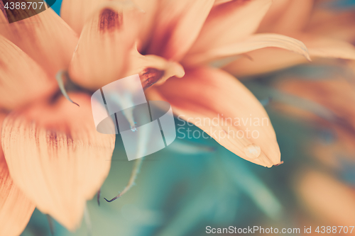 Image of Macro shot of water drop