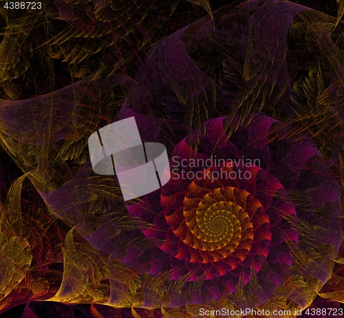 Image of Multicolored spiral fractal picture