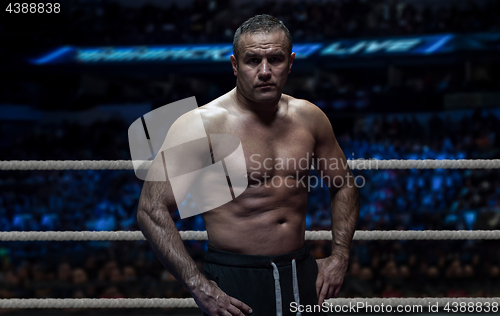 Image of professional kickboxer in the training ring