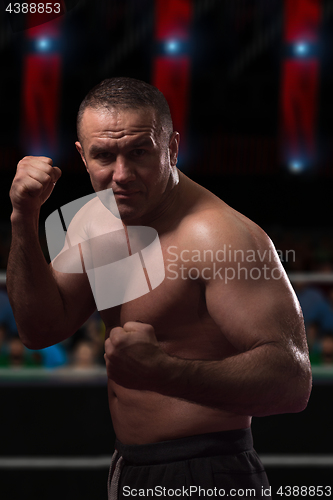 Image of professional kickboxer in the training ring