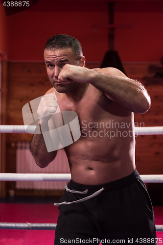 Image of professional kickboxer in the training ring