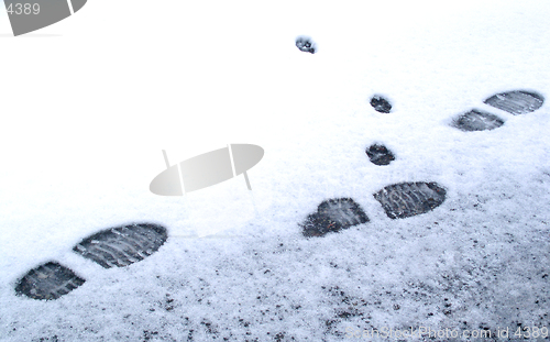 Image of footprints in the snow (man and cat)
