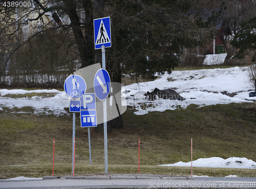 Image of pedestrian crossing in the city