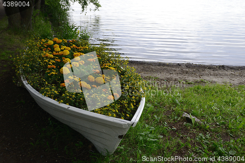 Image of flower bed in a boat on the lake shore