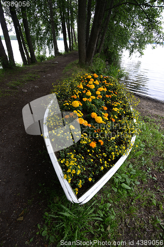 Image of flower bed in a boat on the lake shore