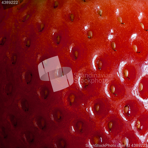 Image of Closeup of garden strawberry