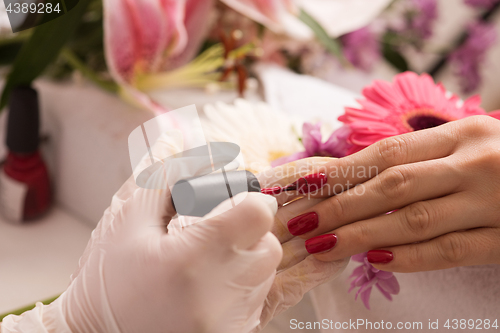 Image of Woman hands receiving a manicure